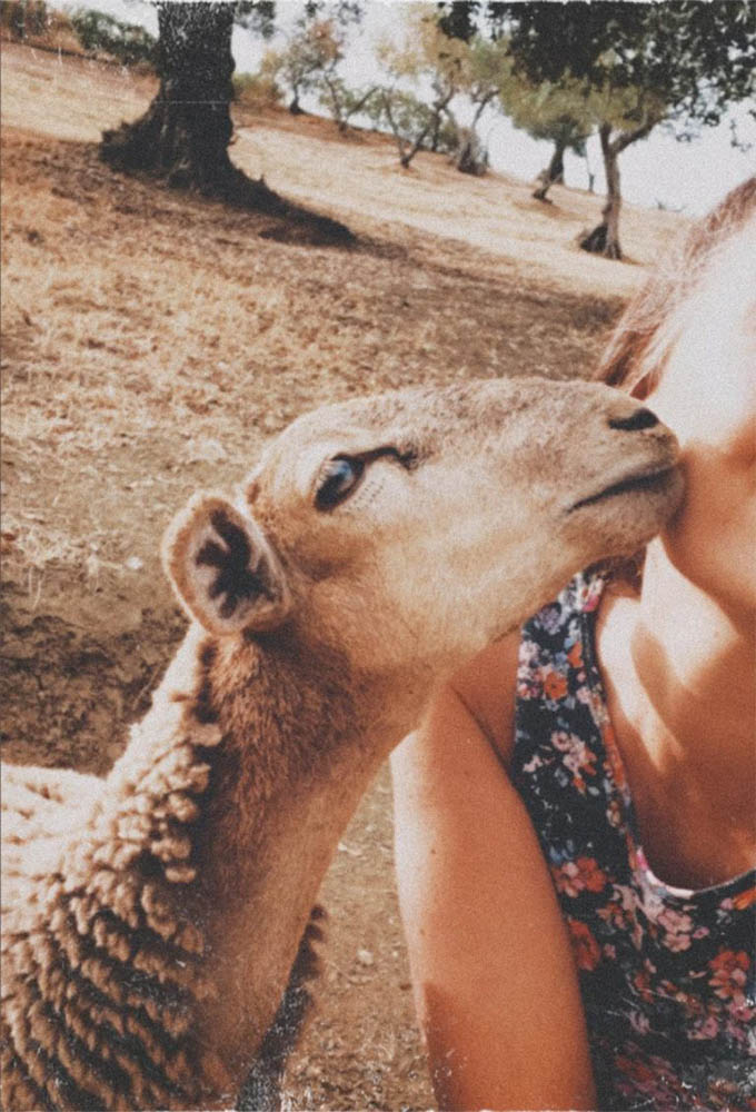 Belleza natural y salvaje, libre de aditivos e ingredientes tóxicos_La Belleza del alma filosofía