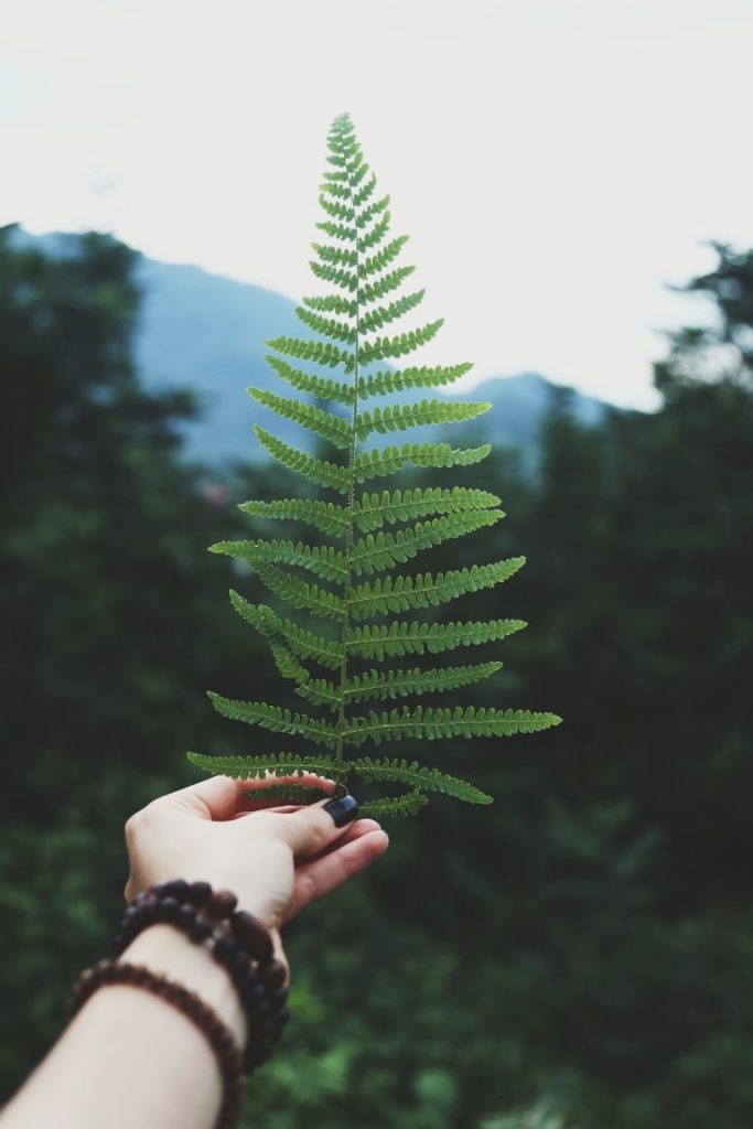 Manicura y pedicura ecológica - La Belleza del alma