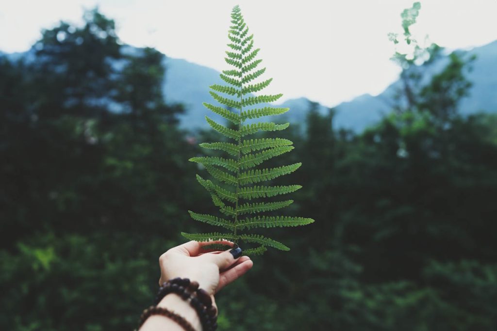 Manicura y pedicura ecológica La Belleza del alma